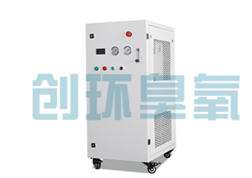 莱芜石斑鱼养殖水质调控完整指南:臭氧发生器配置与操作步骤