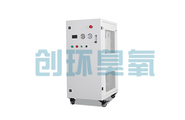 莱芜比传统换水更高效?臭氧发生器在石斑鱼养殖中的水质净化原理解析