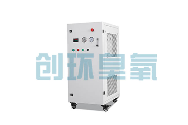 莱芜比传统换水更高效?臭氧发生器在石斑鱼养殖中的水质净化原理解析